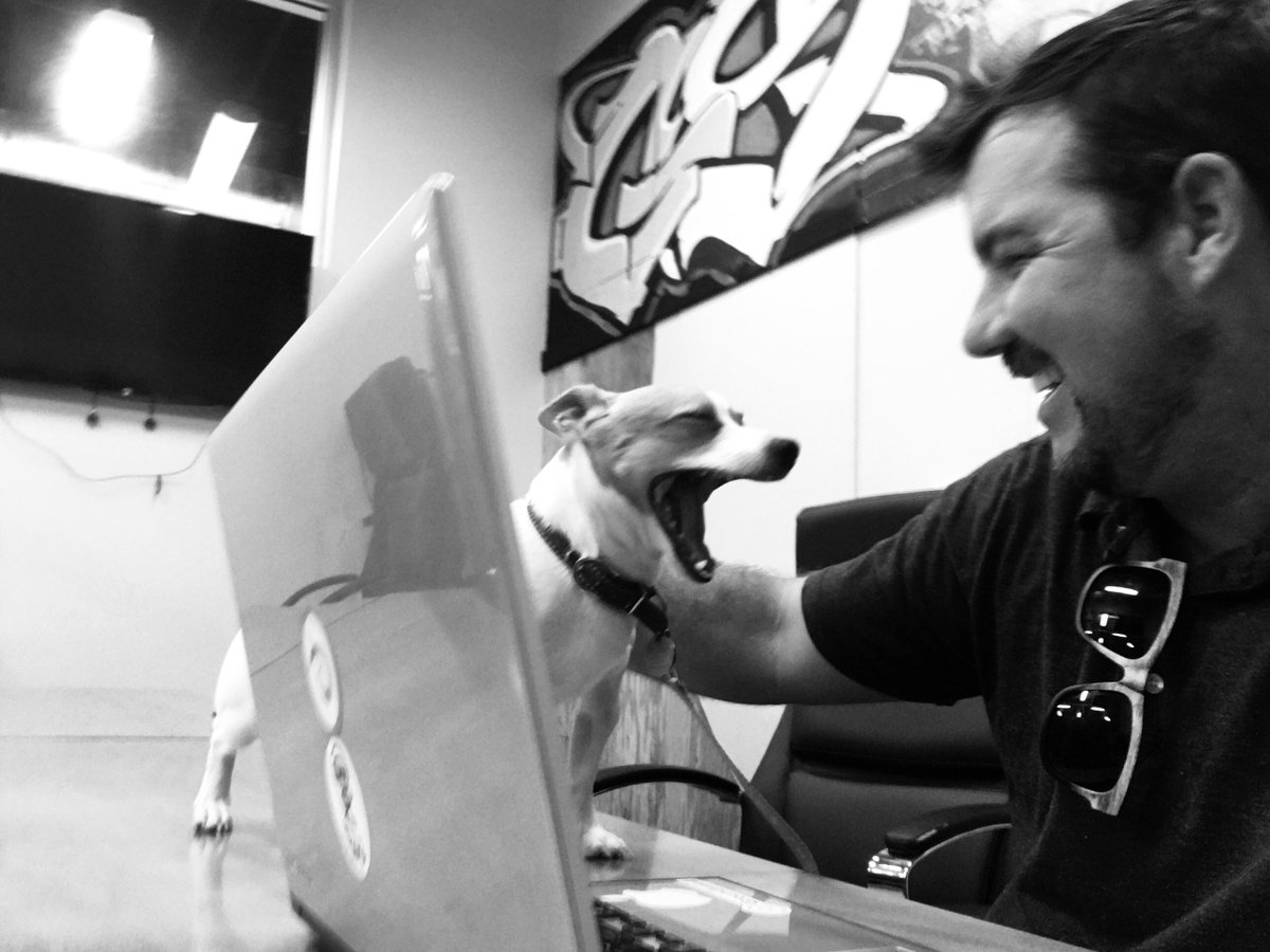 DigitalBanzai's tweet image. Our little buddy "River" is finding his yawn at the local tech hub. 
#GroundSwell #melbourneevents #techhub #networking