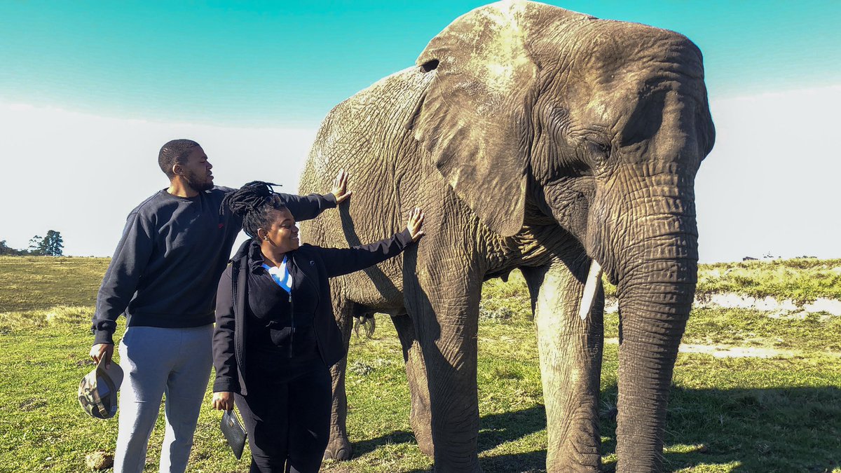nokuhle_chamoto's tweet photo. “It was not until I met you that I understood I had never been in love before.” ♥️🐘

- Komal Kapoor 

#DiaryOfDatingAChamP 👫 https://t.co/VL6181ZvZ8