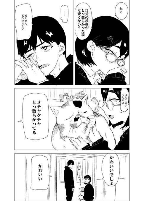 猫 