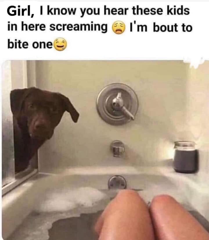 wordonlyapparel's tweet photo. Here’s a little something to brighten up your day. 🤣🤣🤣 https://t.co/BXsMVabJfA
