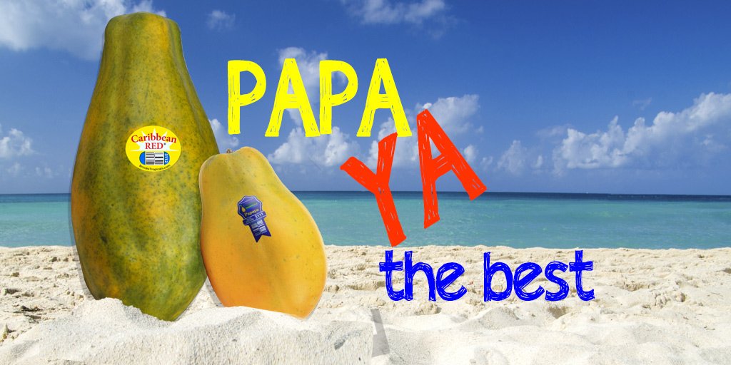 Téléchargement gratuit Images Brookstropicals On Twitter Who Knew Papayas Could Be So Funny dernière par