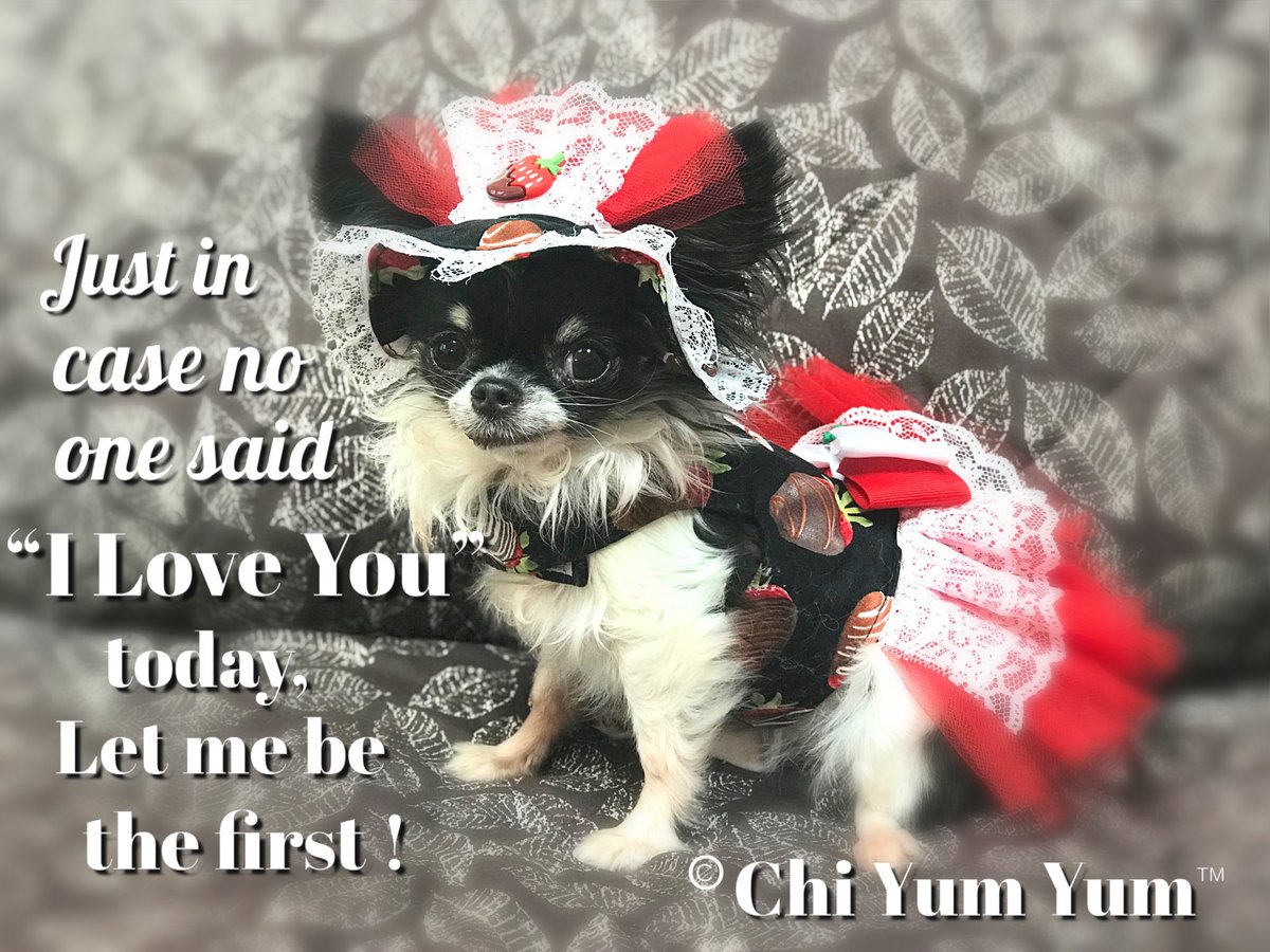 I ❤️ Love ❤️ You
#iloveyou #love #mydoglovesyou #haveisaidiloveyoutoday #chihuahua #tinydog #ilovemydog #smallestdog