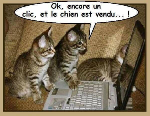 Julie La Célibataire On Twitter Ok Encore Un Clic Et Le