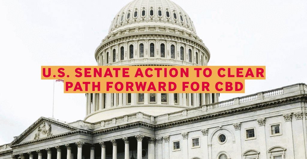 BIG NEWS - mailchi.mp/afe5d9f8dc83/b…