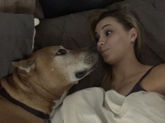 We rescued this old man 3 weeks ago. Labeled an aggressive old man. (He&rsquo;s 8) But what I saw was a pup<a href="/tag/adopt"class="tags"><span>#adopt</span></a>