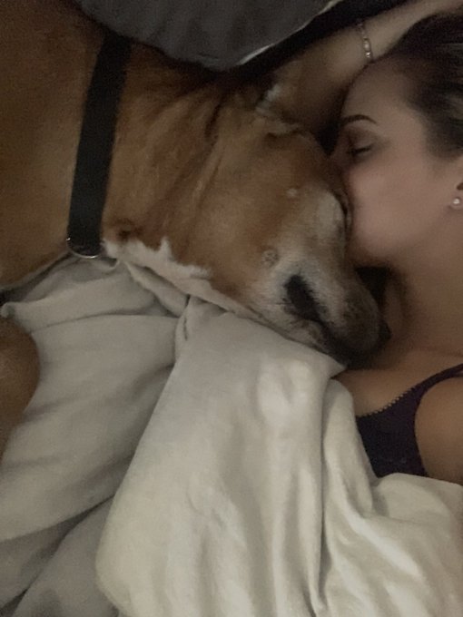 We rescued this old man 3 weeks ago. Labeled an aggressive old man. (He&rsquo;s 8) But what I saw was a pup<a href="/tag/adopt"class="tags"><span>#adopt</span></a>