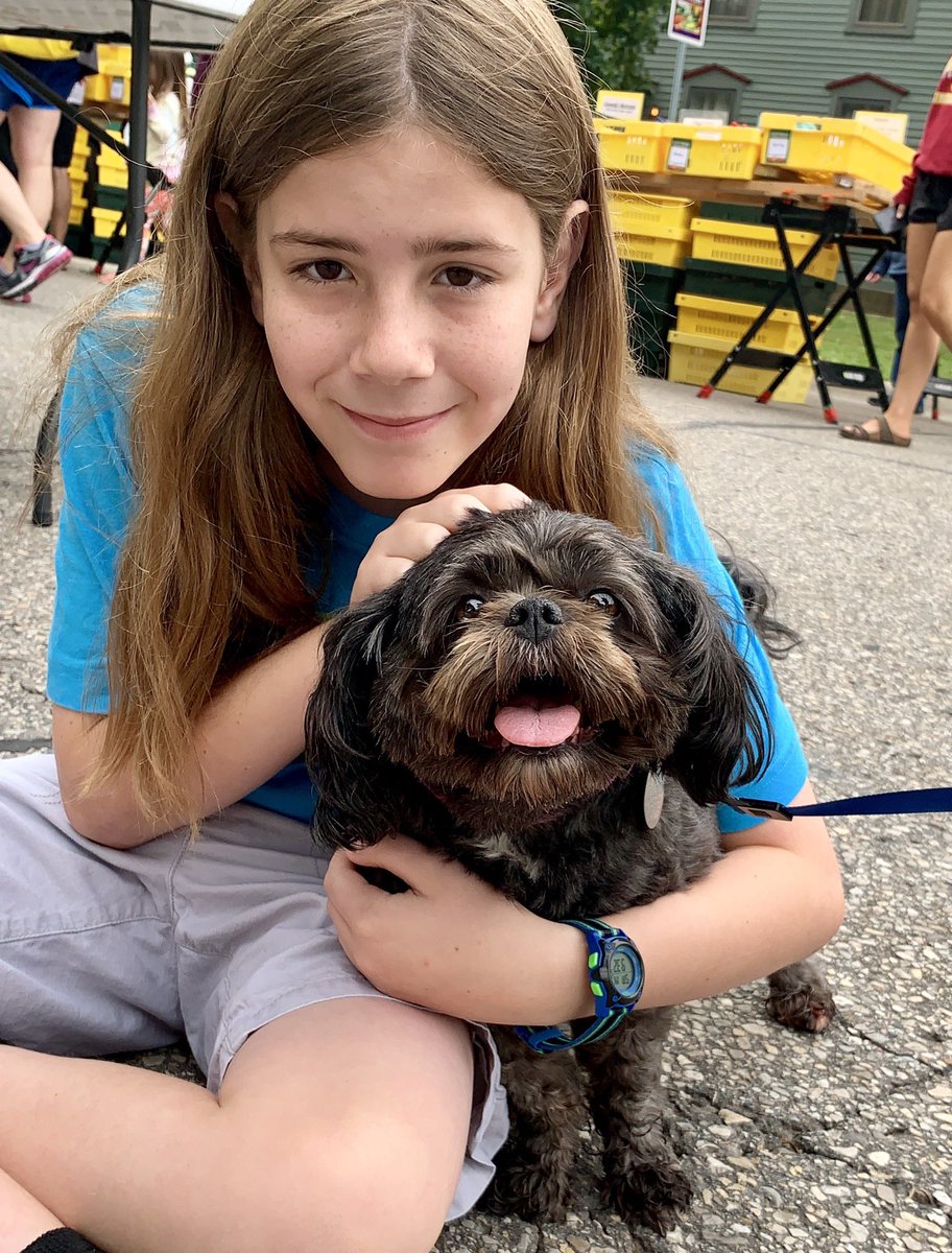IvePetThatDog's tweet photo. I pet Snooki. She is a 7 year old Teddy Bear Dog. She was named after Snooki from Jersey Shore because they both peed outside on a deck. Snooki likes to go boating with her family. She sits up front so she can watch everything. Her favorite food is bacon. https://t.co/lc3n5EzZnv