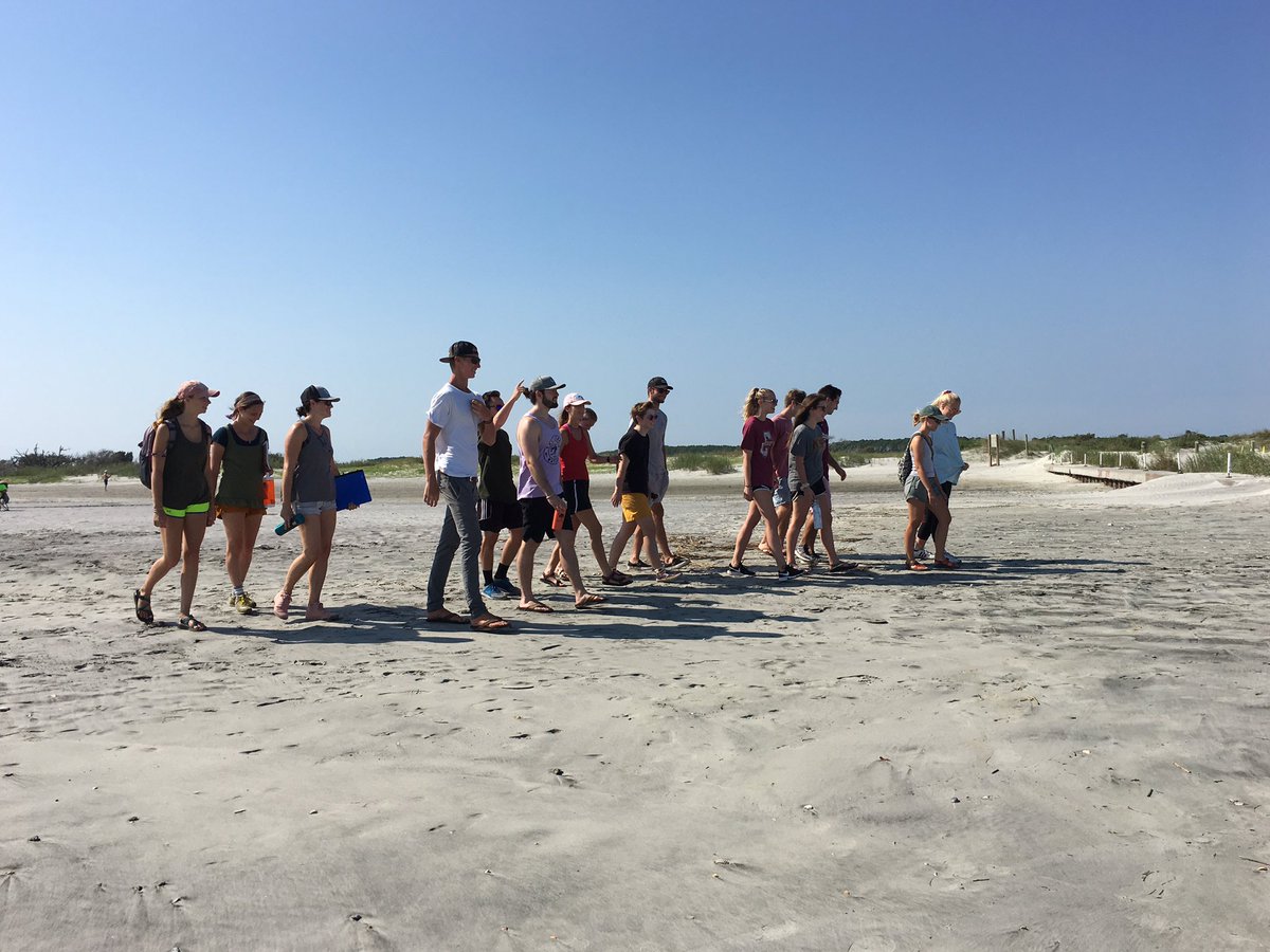 BEAMS_Doc's tweet photo. Marine Geology students took their second beach field trip today. This one to the SW end of Folly. Glorious weather! https://t.co/3rrW7tWa50