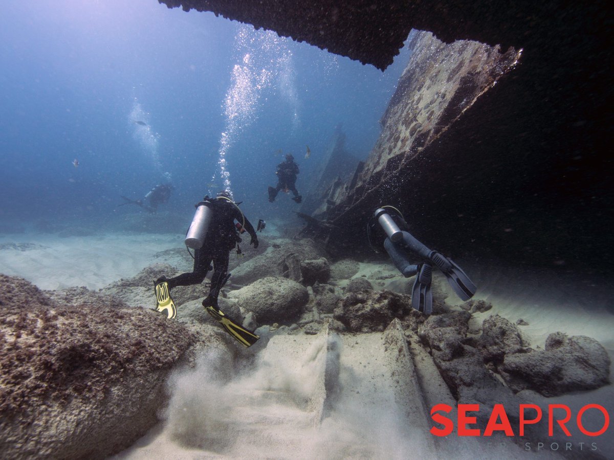 seapro_divers's tweet photo. Submerged at 12 meters (39 feet) off the coast of Bávaro, the Astron continues to be a popular site for advanced divers. The sheer magnitude of the ship, including its giant propeller–said to be weighing over 20,000 tons–are worth a look.🌊🧜🏻‍♀️🐚🐠⠀
.⠀
.⠀
.⠀ https://t.co/sRp9cWwodD