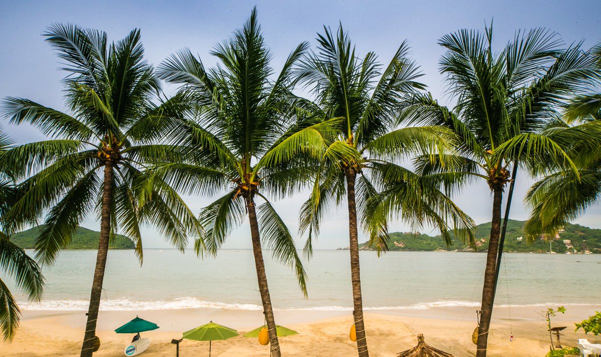 BarceloIxtapa's tweet photo. ¿Quieres estar aquí y ahora? Entonces dale al corazón y siéntete más cerca del paraíso.
#BarceloIxtapa #Ixtapa #BarceloMoments #Mexico #ixtapazihuatanejo
#visitmexico #ixtapabeach #Guerrero https://t.co/nzcfYmMkSz
