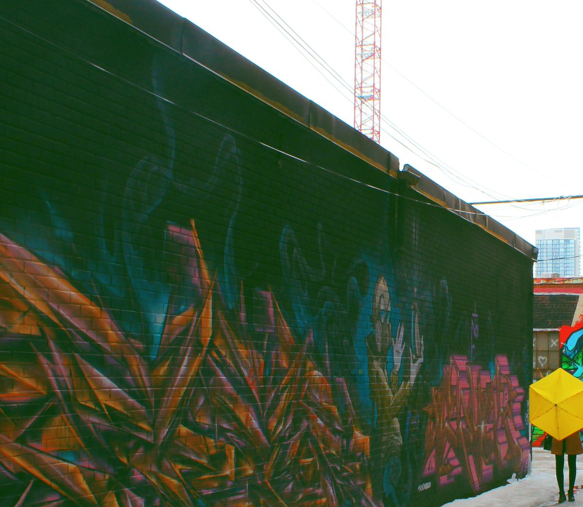 Wearable art! 
.
.
.
.
.
.
#enjoytherain #loveweather #thesix #graffitalley #instagood #fashion #6ix #torontolife #toronto #graffiti #city #fashion #art #loverain #rainydays #cold #fall #canada #getoutside #photooftheday #alley #canadabased #toronto_insta #umbrella