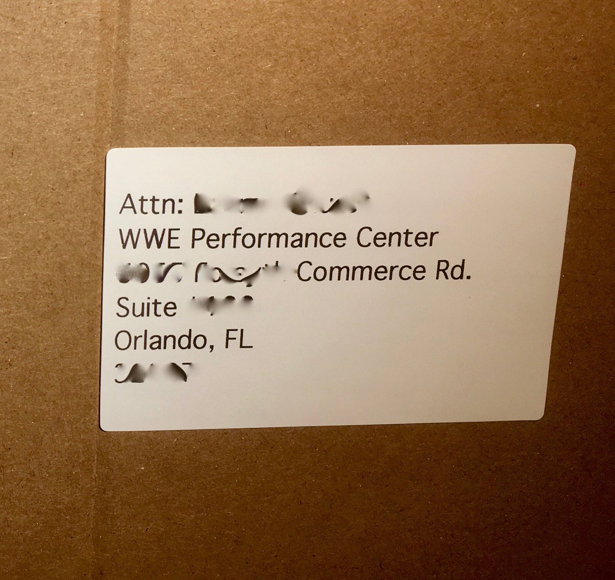Gotta confess, all afternoon I've been working on my ring entrance speech while I get this AFX order ready to ship. #IfYouSmellWhatAFXIsCooking #ThatsTheBottomLine #YouCantSeeMe