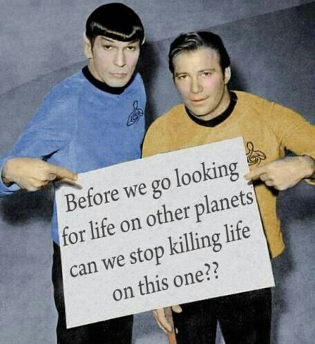 We're looking for life on Mars,
while so many people still haven't life in the womb. 😞

Forget Mars. Pray for all people to discover there's LIFE IN THE WOMB!

#LoveSavesLives ❣
#SaveTheTinyHumans 
#LifeBeginsAtConception