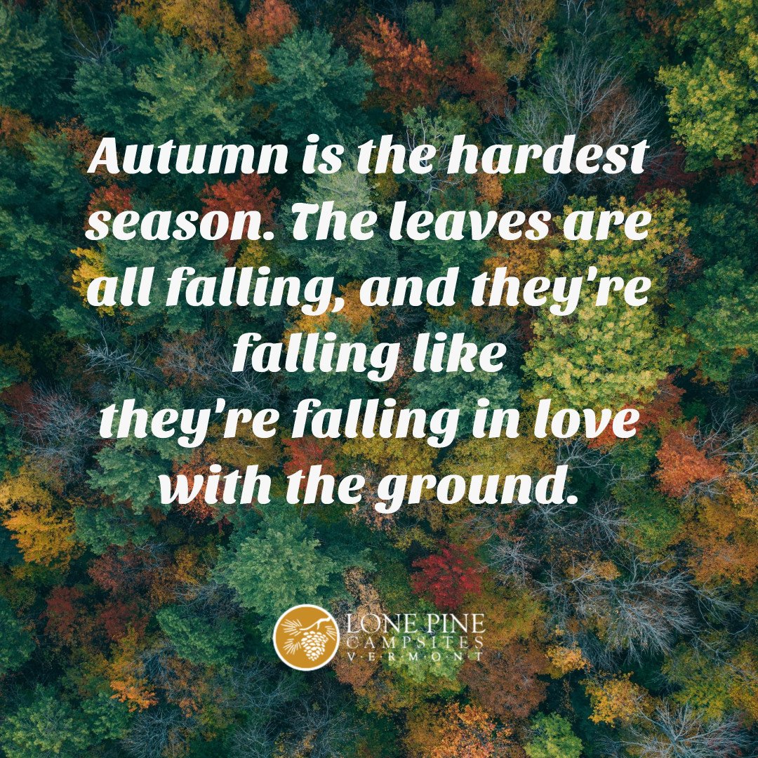 Autumn is the hardest season. The leaves are all falling, and they're falling like they're in love with the ground.