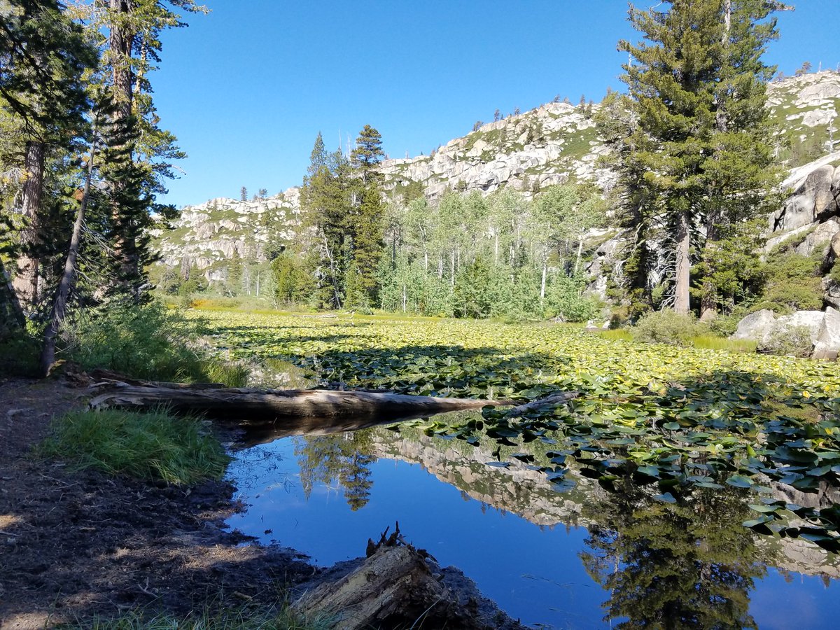 debk132's tweet photo. Love being in the #sierras https://t.co/k0dPLDLXaF