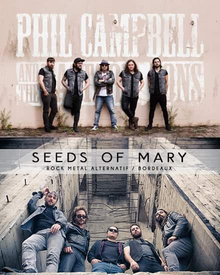 Seeds Of Mary tweet media