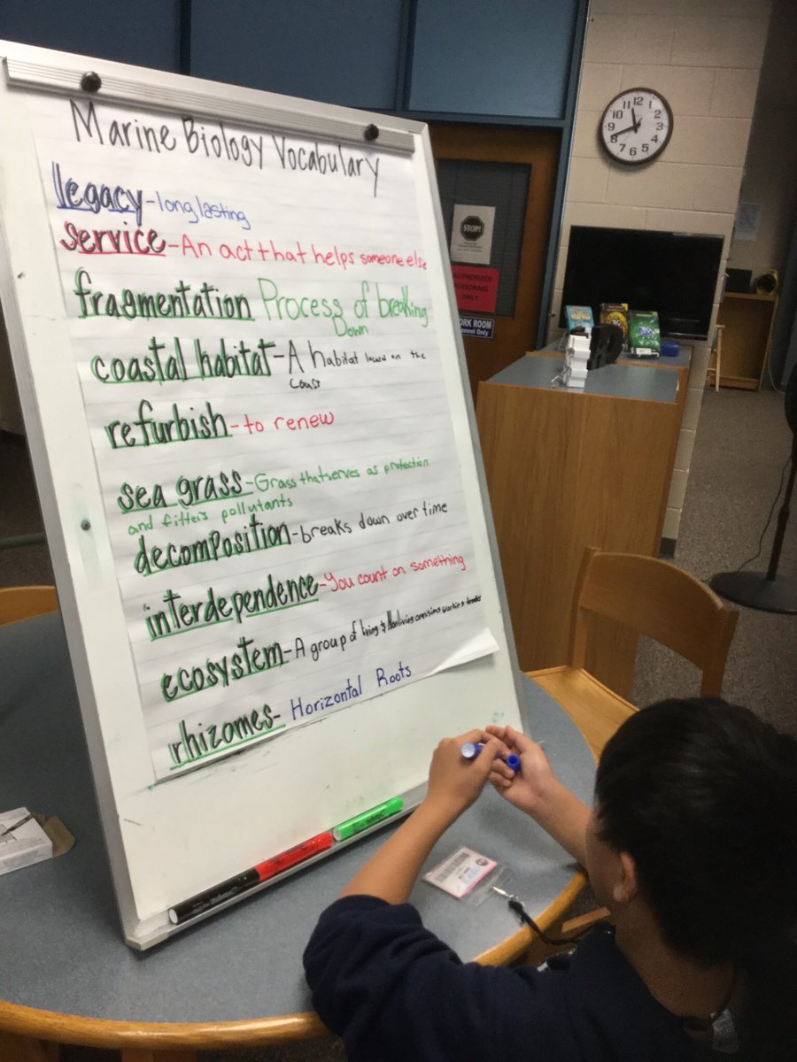 B_E_AIG's tweet photo. ✔️it out! @NWPMS_1 @NewBridgeBears @JCMSKnights #CogniConSummerOfService Remeber this?  You helped #makeadifference #legaSEA #FINtasticDolphins 🐬 #NBMSCareBears  🐻 #UseYourPowesForGood 💫 🌊 🐠 https://t.co/9KsA6Wb8I6