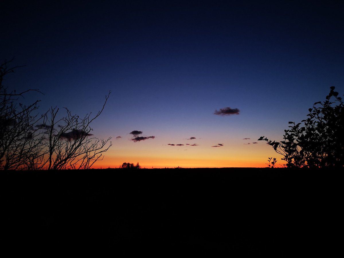 fozzi_dk's tweet photo. "Walking the dog", part 9 - 2035 CET https://t.co/EzB0bLYxS9