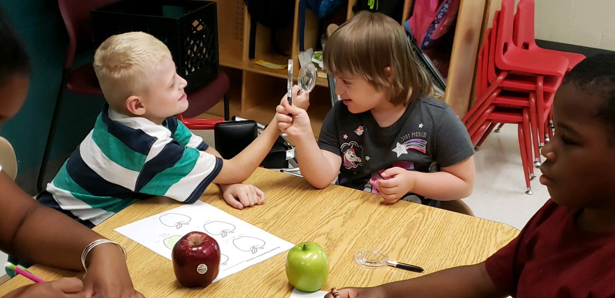 sandy_grove's tweet photo. Scientists in Mrs. McNeill’s class making discoveries about the physical properties of a variety of apples! https://t.co/EGDW5Ir9gu