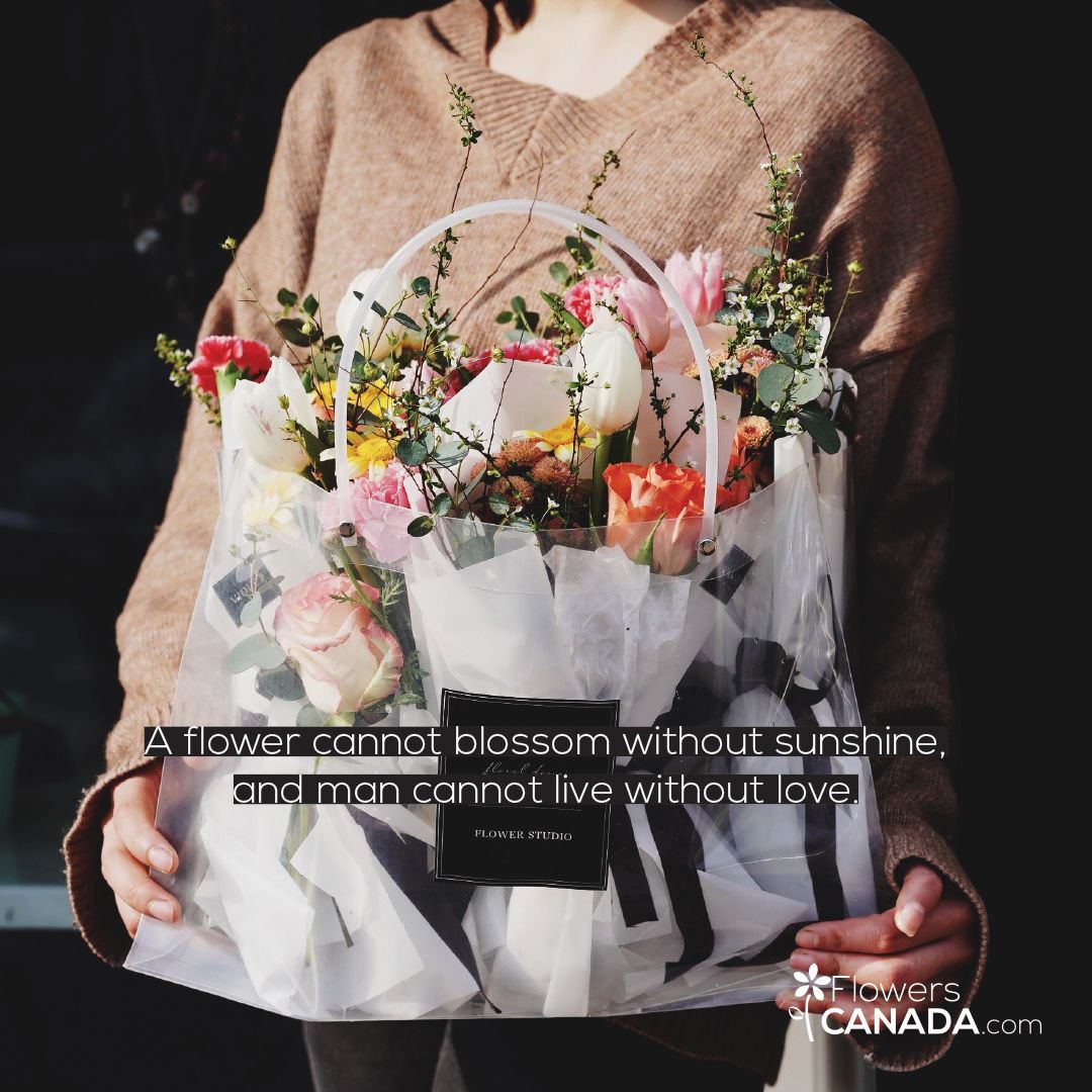 Show her your love today! ❣️
Same day delivery available. Save $10 with the code 'MYLOVE'
Visit: flowerscanada.com