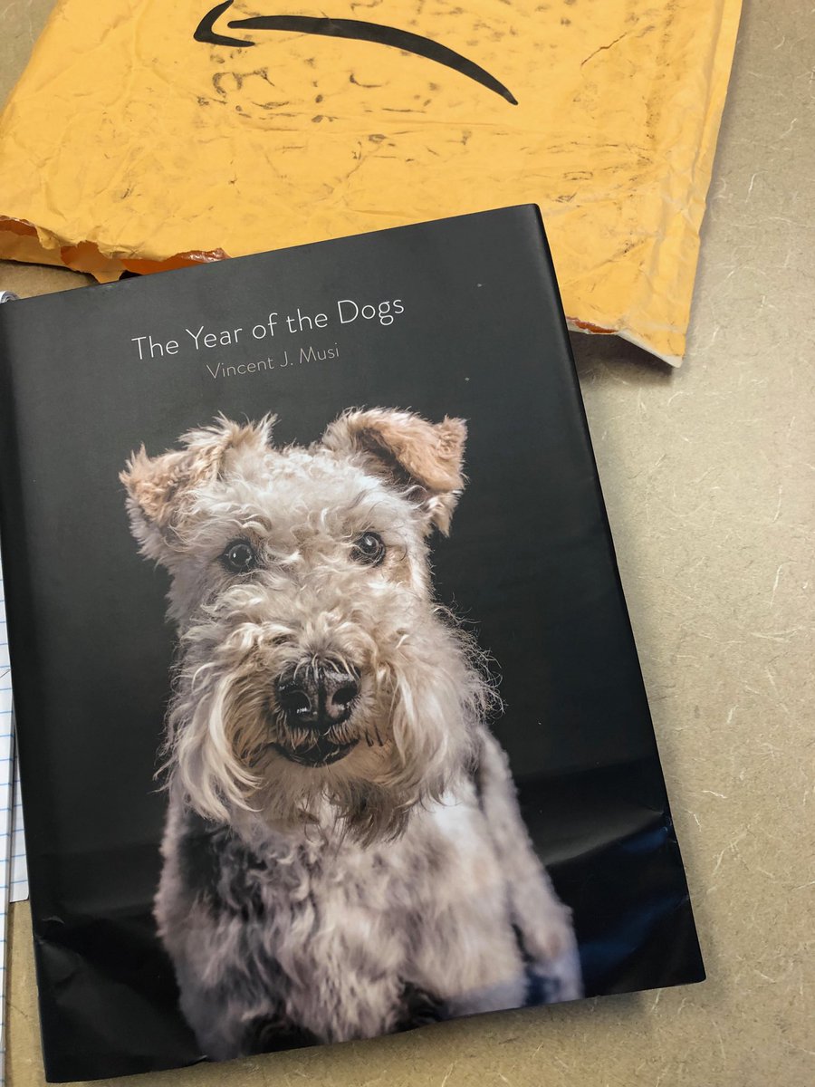 kbest's tweet photo. #yearofthedogs is finally here. @vincentjmusi has as much talent at the keyboard as he does behind a camera, which seems a little unfair for the rest of us. But despite my jealousy, congrats for the great work! https://t.co/DHb0ngL2GM