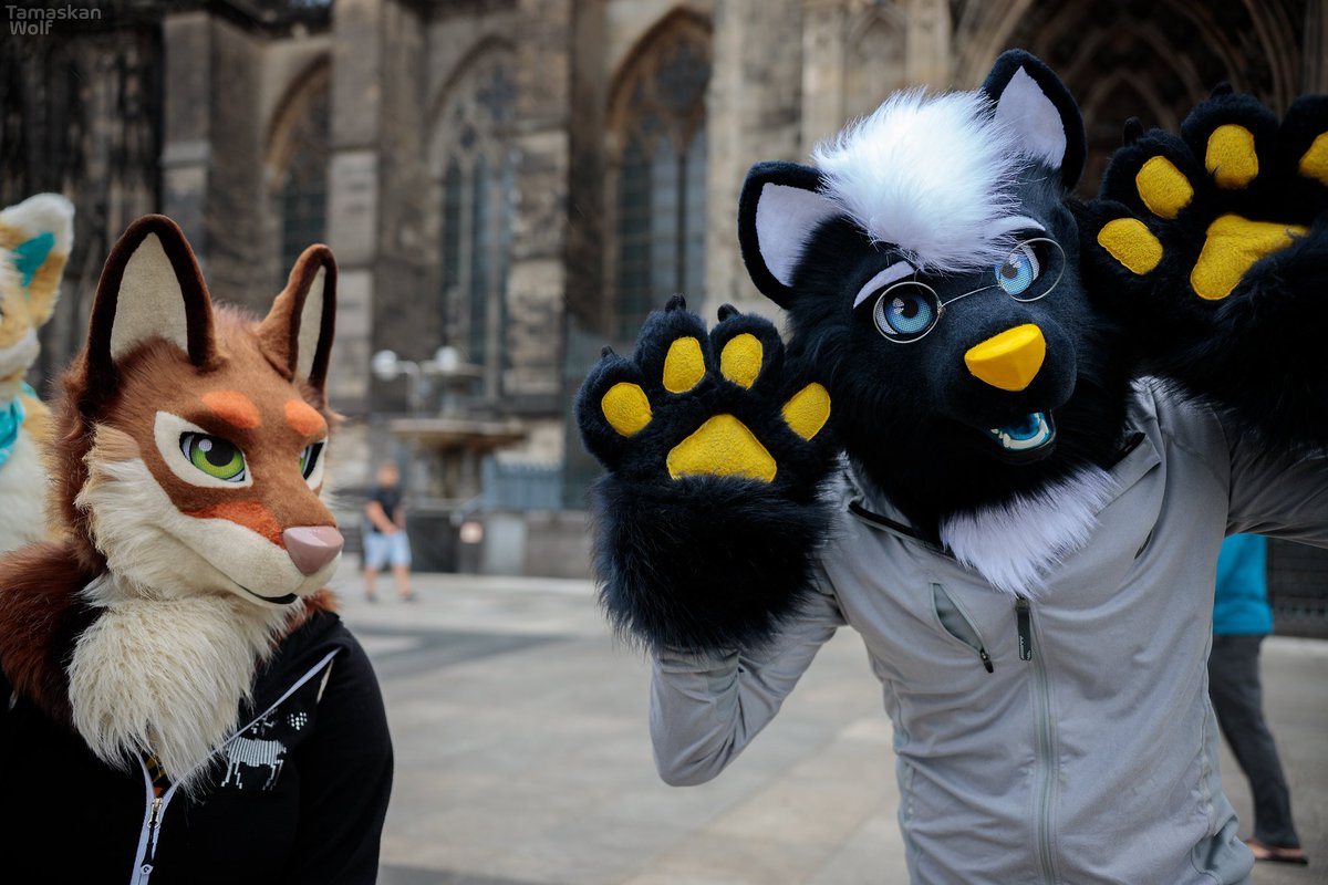 Amazing #Suitwalk Pictures!
📷 TamaskanWolf
🧵 SuitArted

#furry #furries #fursuit #fursuiting #fursuits #partial #partsuit #fursuithead #toony #toonyhead #toonyfursuit #cutefursuit #cutefurry #fursuitwalk #cologne