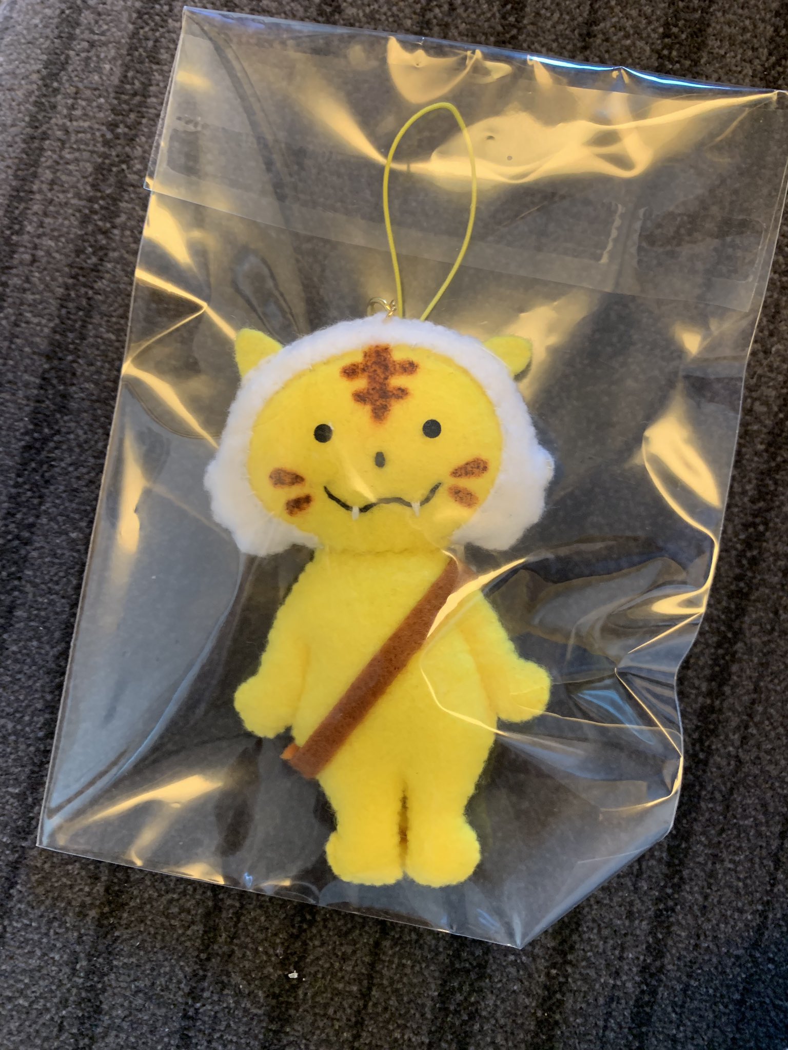 内田慈 宮城県加美郡加美町のご当地キャラ カミーゴ しょってるのは鮎 加美町を離れる朝 鳥皮ささみ監督のおかあさまがくださった カミーゴ あれからまだ1週間経ってないなんて 変な感じだ