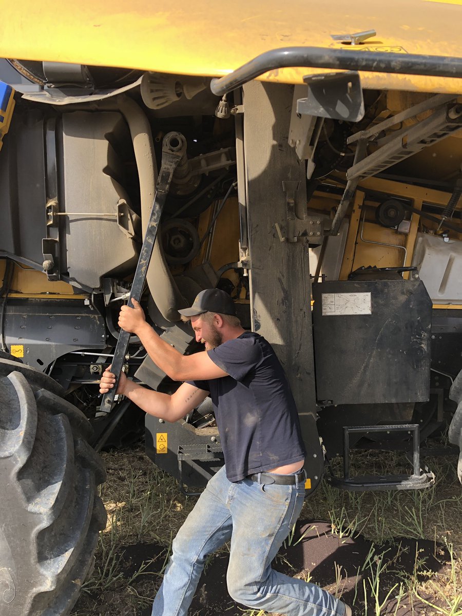 Get a combine with a rotor reverser they said !! Well turns out we have one but he’s 6’6 and grunts a lot !!! I may have learned some new profanity today tho ?! Maybe I should also mention he’s still single and looking for a date to <a href="/megzcrone/">Megan Fedoski (Crone)</a> wedding.  <a href="/BraedenCrone8/">Braeden Crone</a> <a href="/kehlscrone/">Kehlsie Kaytor</a>