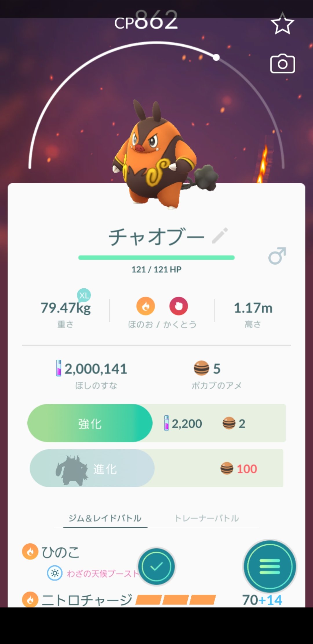 ポケモンgo攻略 Gamewith A Twitter Go Tosaka ポカブの進化系ですね こちらで調べることができますので参考にしてください T Co 6sp2fgxjfo Twitter