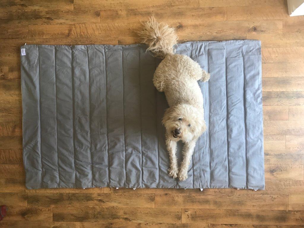 FavoriteTickets's tweet image. What we love after a busy weekend is down-time. Wrap one of our Sera blankets around tired legs and take a well-earned rest! #blanket #bedding #rest #relax kck.st/2NoVX0J