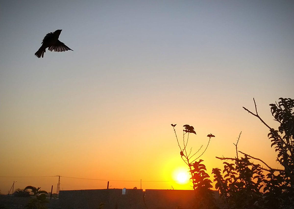 devorah555's tweet photo. בוקר אור לכולם ⁦☀️⁩

"מודה אני לפניך מלך חי וקיים שהחזרת בי נשימתי בחמלה רבה אמונתך"

"נַפְשֵׁנוּ כְּצִפּוֹר נִמְלְטָה מִפַּח יוֹקְשִׁים הַפַּח נִשְׁבָּר וַאֲנַחְנוּ נִמְלָטְנוּ"
[תהלים קכ"ד  ז']

אופטימיות זה חובה
אסור לאבד תקווה
תודה לאל, יום חדש לפנינו. 

מצטרפים לקפה? https://t.co/HOFaxZlJrT