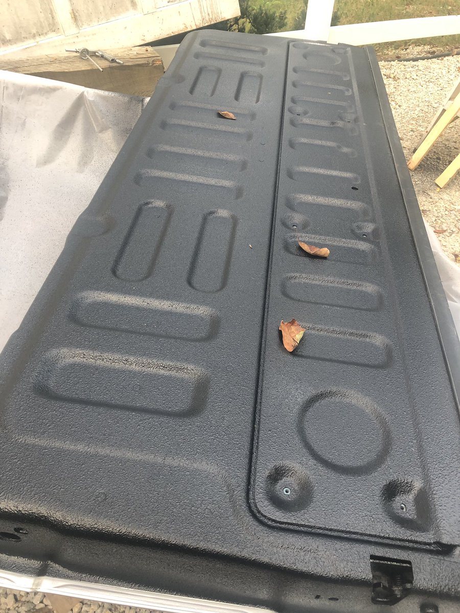 Cami Ryan, PhD tweet media