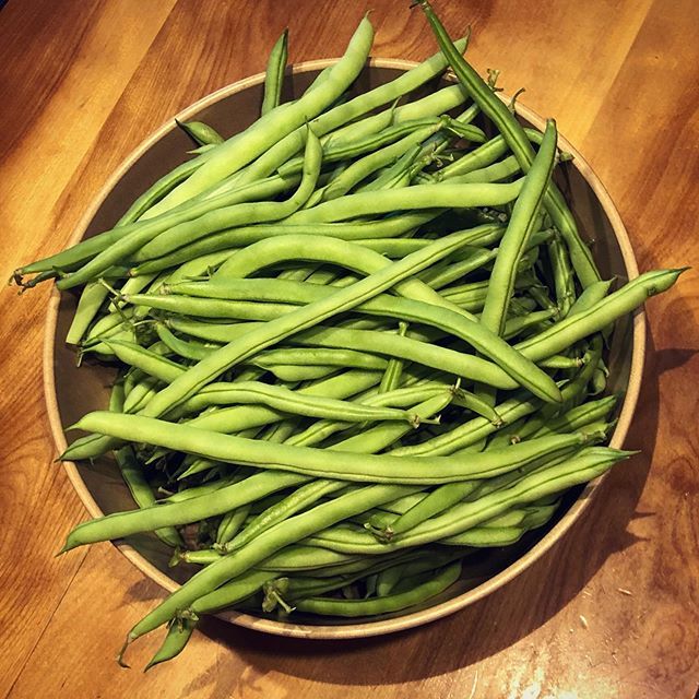 chbamey 🌱 tweet media