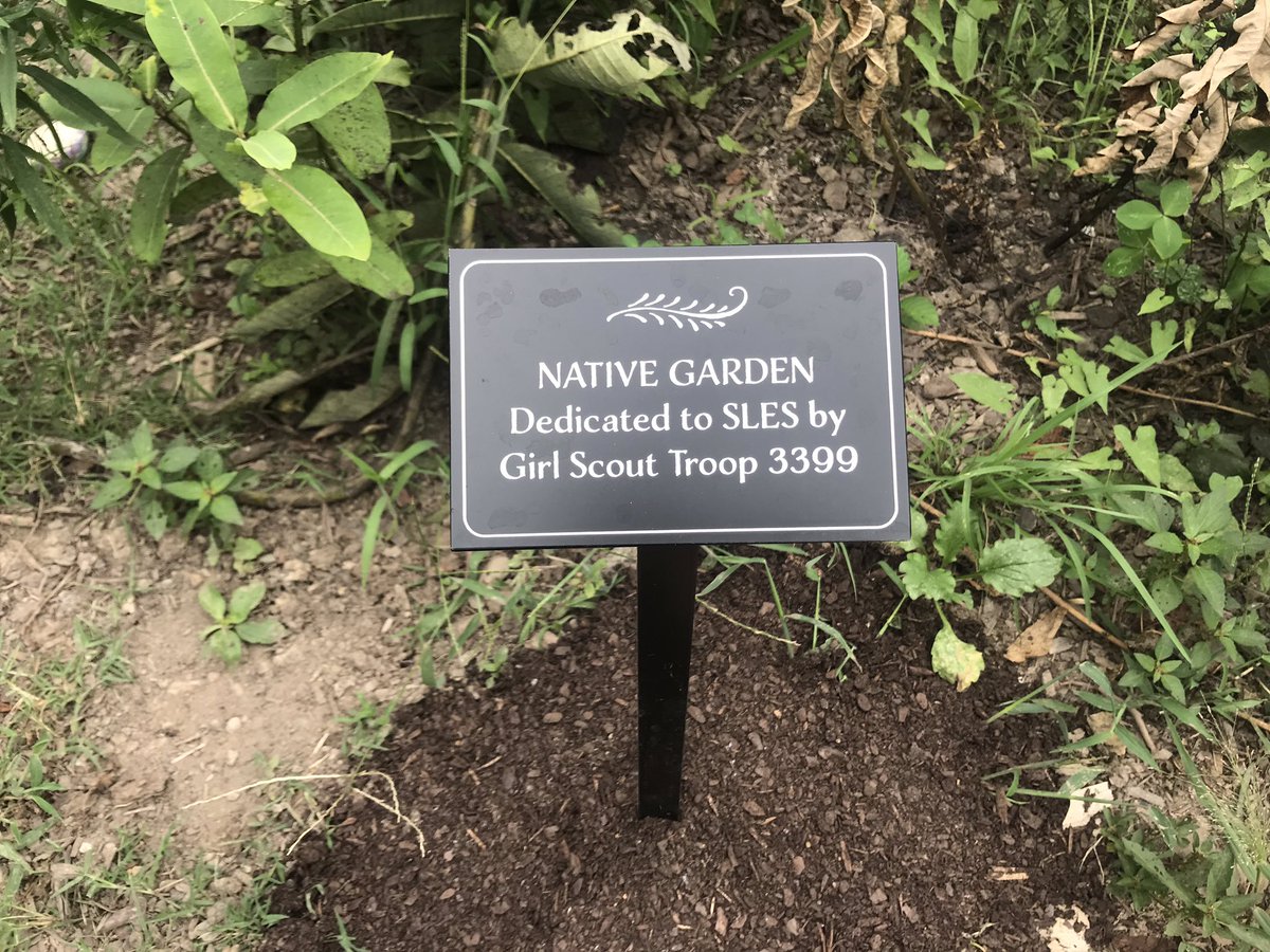 Marycharlton8's tweet photo. Look at all the work that one of our school’s Girl Scout Troops put in to our native garden!! It looks AMAZING! #nativegarden @StratfordLndgES @wufpakgirl https://t.co/zusIvEpQmL