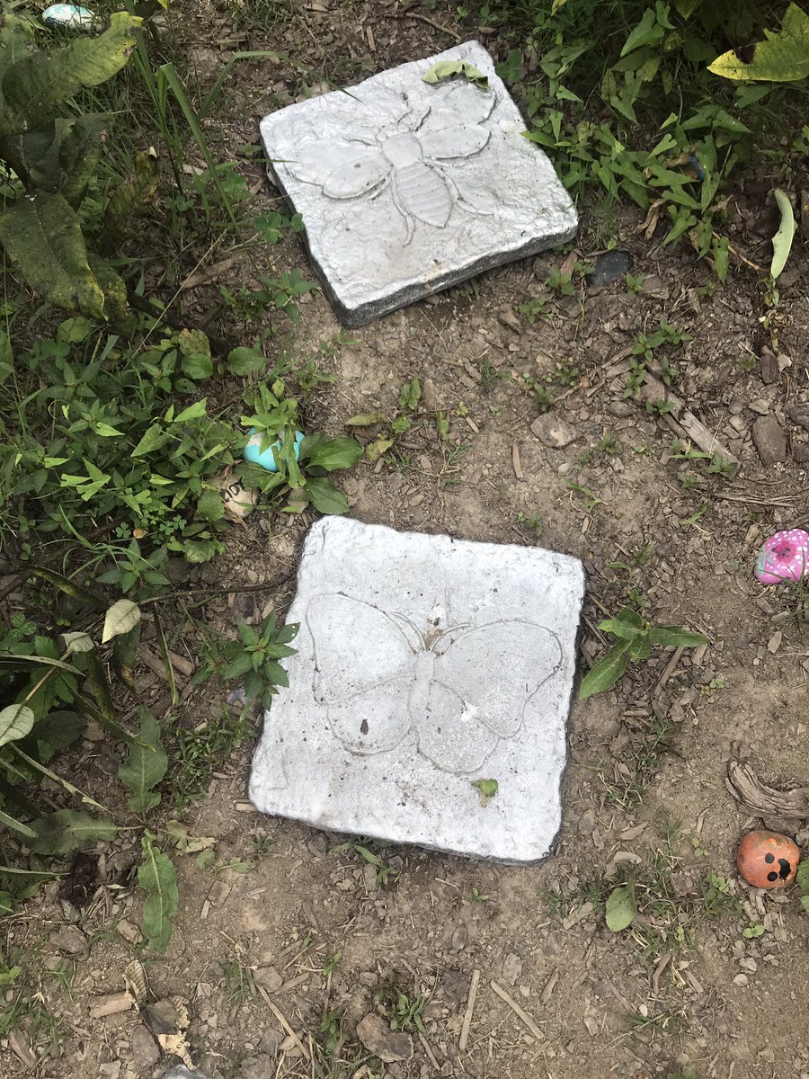 Marycharlton8's tweet photo. Look at all the work that one of our school’s Girl Scout Troops put in to our native garden!! It looks AMAZING! #nativegarden @StratfordLndgES @wufpakgirl https://t.co/zusIvEpQmL