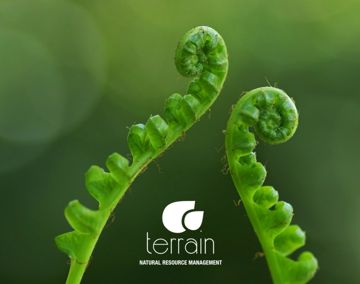 Here's an opportunity to work on a Board that is
making a real difference in our region - Terrain NRM is seeking two new directors. Details at terrain.org.au/about-terrain/…

#WetTropics #Board #directors