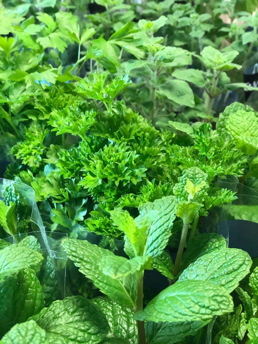 United Fresh NZ Inc. tweet media