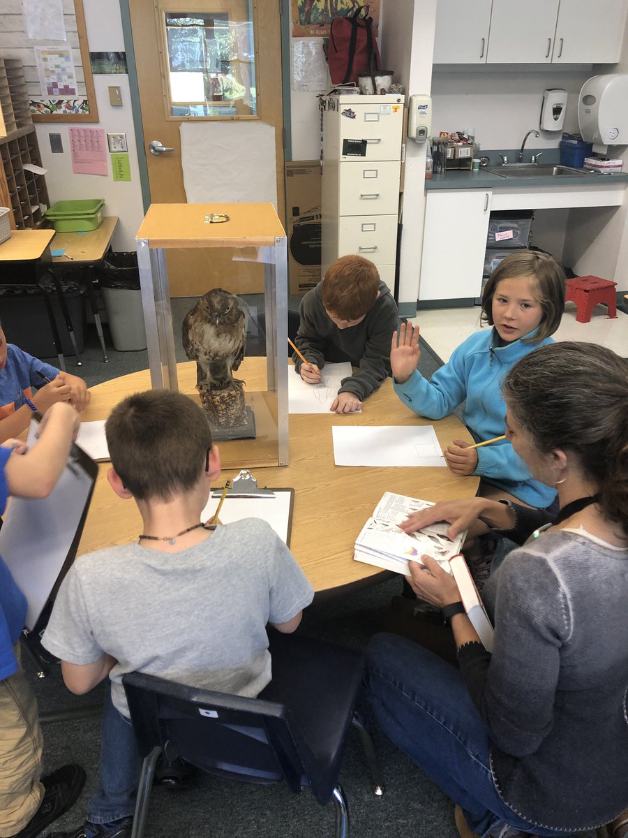 bes_sutton's tweet photo. Always enriching and engaging when Susie from the Harris Center comes to Pierce to help us learn! #raptors https://t.co/Jp6QHtrzSS