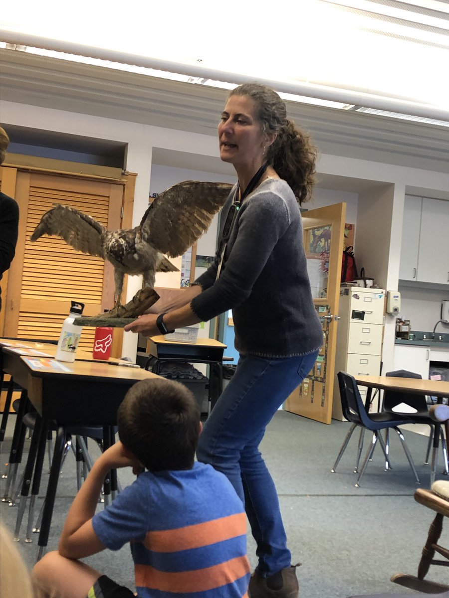 bes_sutton's tweet photo. Always enriching and engaging when Susie from the Harris Center comes to Pierce to help us learn! #raptors https://t.co/Jp6QHtrzSS
