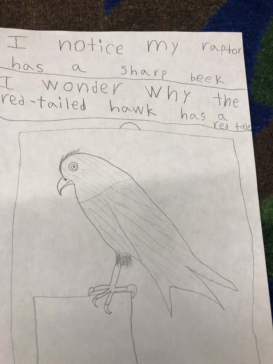 bes_sutton's tweet photo. Always engaging and enriching to have naturalist Susie Spikol of the Harris Center come to Pierce to help us learn. #raptors #migration https://t.co/eDdz1CTIgd