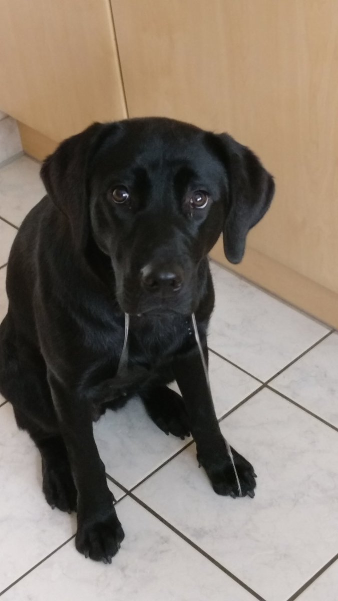 Wenn Mama ruft, Essen ist fertig, der Tisch aber noch nicht gedeckt ist