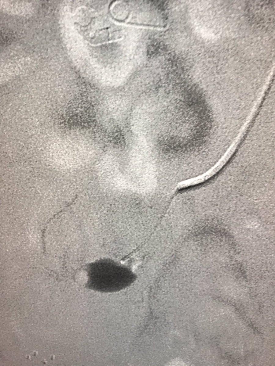 Rami Tadros tweet media