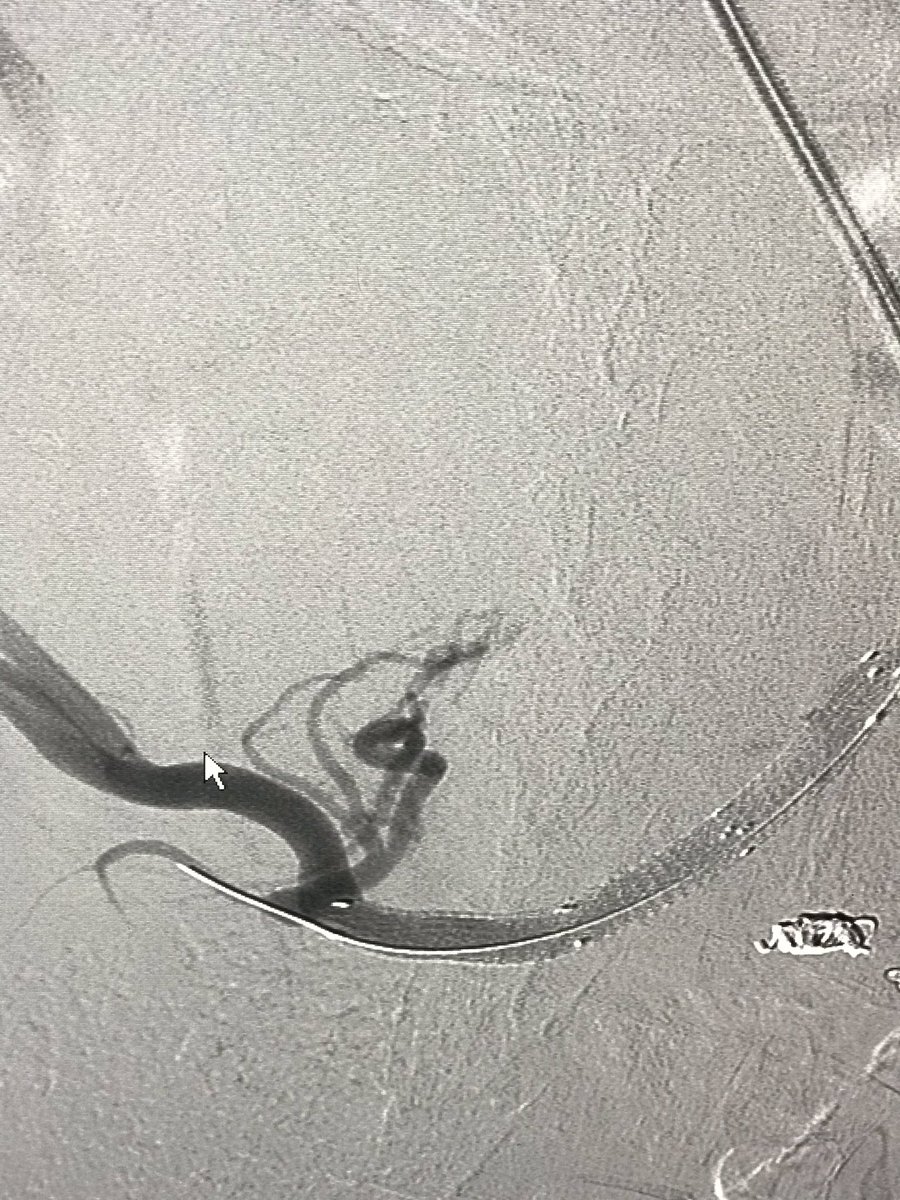 Rami Tadros tweet media