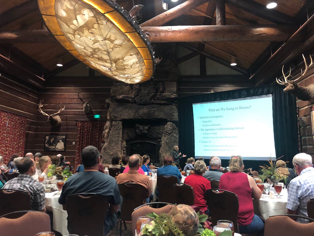 mommahenHenry's tweet photo. Great turn out for the Hills-sponsored seminar by Dr. Voelkl in Springfield. Thanks to our local association, sponsor, attendees, and Dr. Voelkl! #mucvm #muvhc https://t.co/YXzLuAcEZn