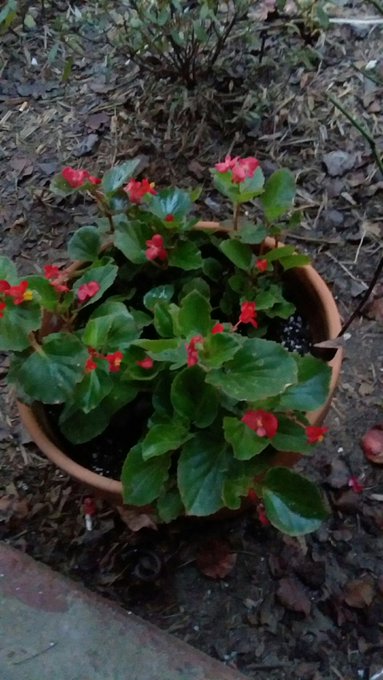 I hope everyone has a beautiful night.  And always remember u are beautiful. ❤ https://t.co/cYLA8gRk