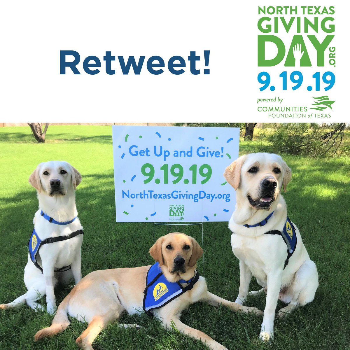 canineorg's tweet photo. *Retweet this!* You can help @ccicanine win $1,000 this #NTxGivingDay just by helping us get the most retweets!

Then, head over to https://t.co/4HB5QQub0V to see how your donation can be doubled to give independence! #OneDayOneTeam #WhyIGive @NTxGivingDay https://t.co/YYsBVMe37A