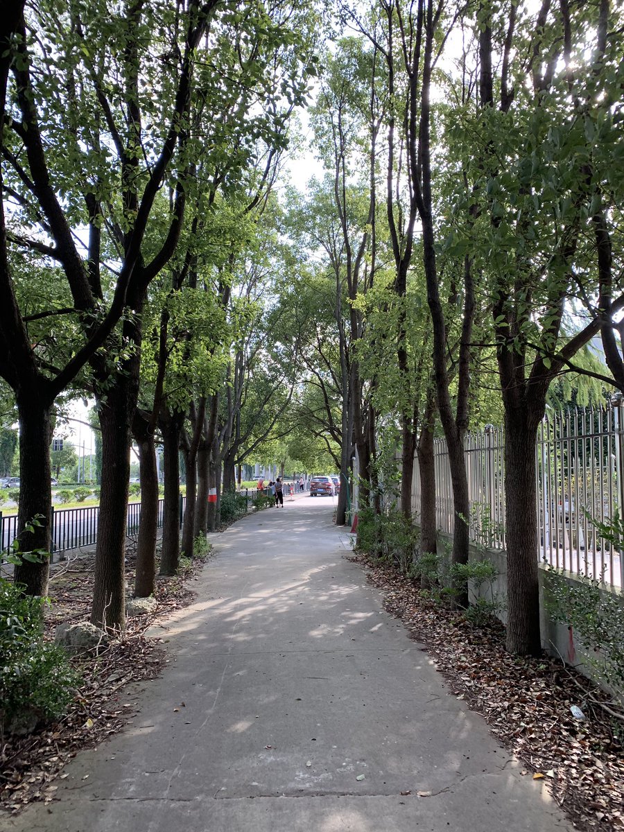 lijinshui's tweet photo. 秋天的味道。 https://t.co/MtpYLvaxtK