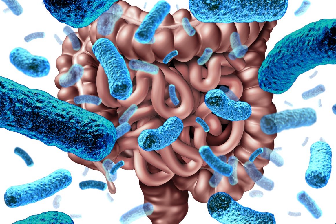 cmkhealthatwork's tweet photo. How #Gut bacteria negatively influences blood sugar levels https://t.co/nAylREbebt Study shows how bacteria living in the gut, the microbiome, communicate with cells producing serotonin to influence BS levels in the host body.#KeatingLab @Flinders @McMasterU @medical_xpress🧠🐭 https://t.co/nJjAWTOiE1
