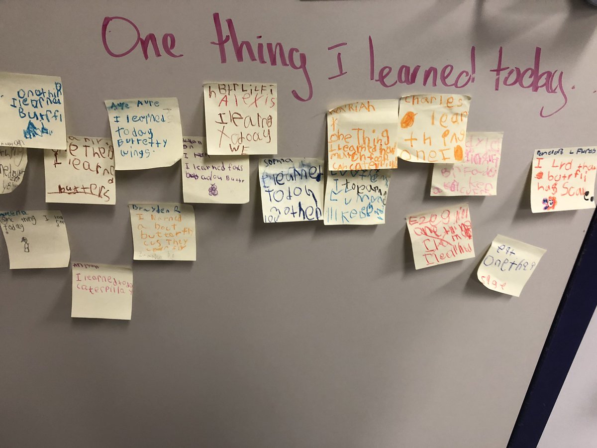 Dr_MMCavazos's tweet photo. In our district we do Instructional Rounds. We plan targeted visits to ea. other’s campus &amp; provide feedback to help us grow. I had an opportunity to visit with WAES and Williamson Elementary schools today. Awesome work happening at both campuses 🙌🏼 #TeamGPISD #GrowingStrong https://t.co/gxgeaLioze