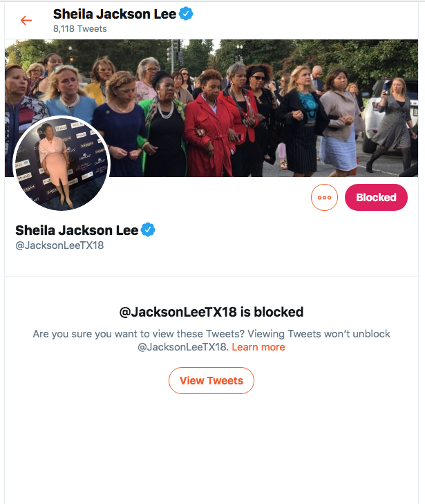 valamontestony's tweet photo. @JacksonLeeTX18 useless in Texas, poverty pimping is coming to an end #BLEXIT Thank you @RealCandaceO #BLOCK #RetrainAI #ChangeHabits #YouAreTwitter - https://t.co/14oSWpuZiF